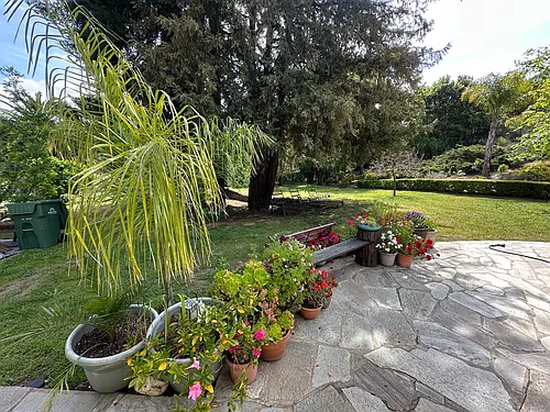 12374 Priscilla Ln Photo 1