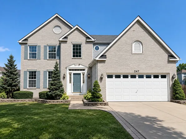 247 Alyssum Ct, Romeoville, IL 60446