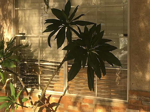 3rd image of 53508 Calle Bonita