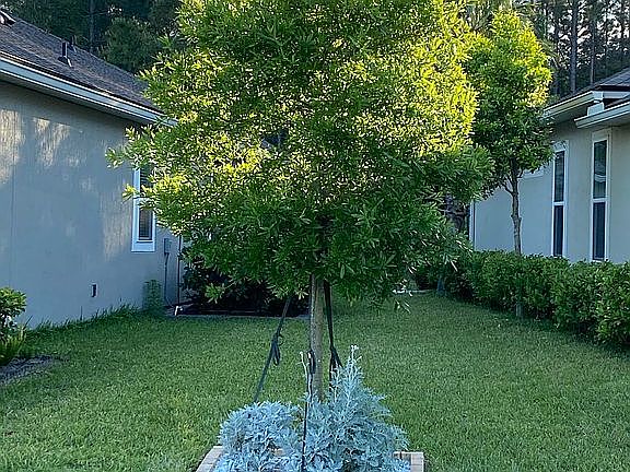 5th image of 604 Charter Oaks Blvd