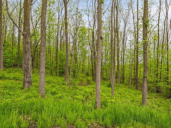 3rd image of 9380 Big Tree Rd Lot 14