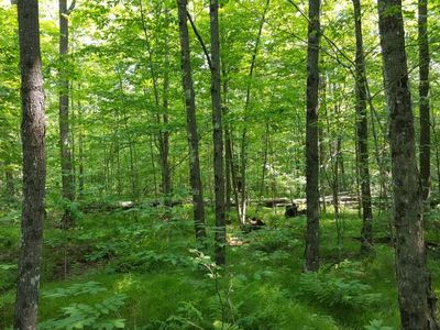 On Fleming Rd, Park Falls, WI, 54552