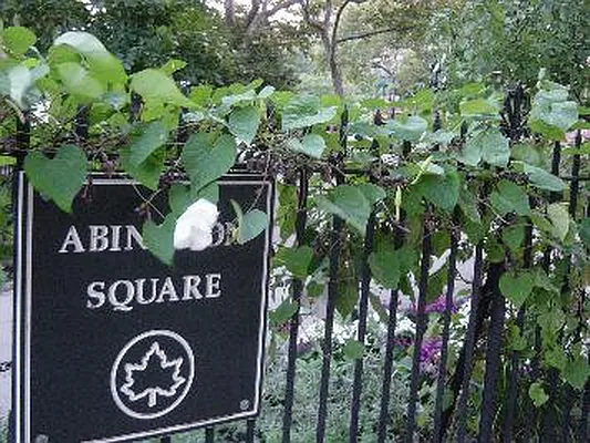 Rented by Corcoran | media 9