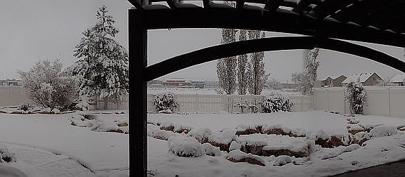 Backyard wonderland