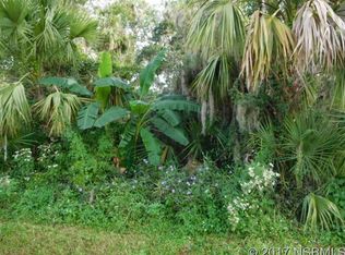 Lime Tree Dr, Edgewater, FL 32141