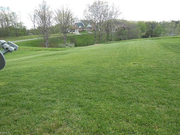 View of back yard