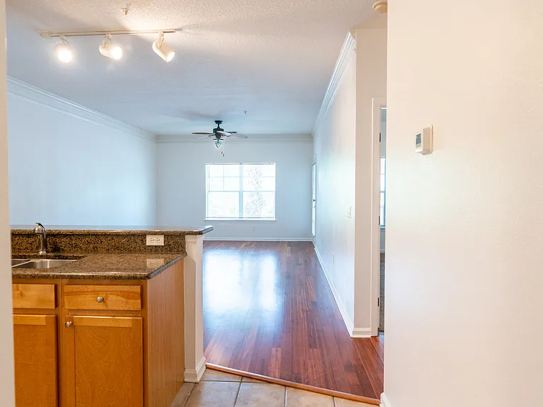 4207 S Dale Mabry Hwy #1204 — Photo 10