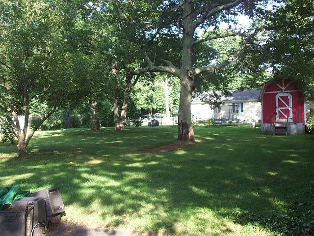 Rear w/shed