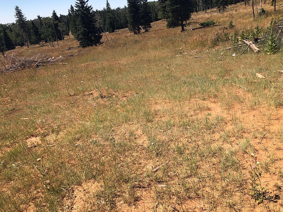 1st image of S Of Below Navajo Lake N Fork Rd
