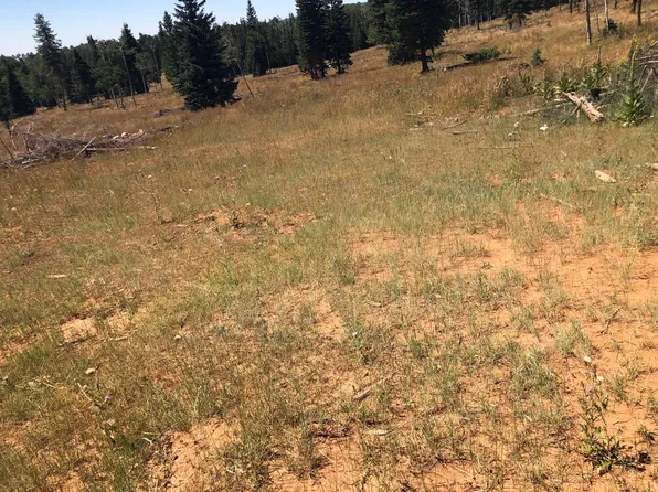 S Of Below Navajo Lake N Fork Rd, Duck Creek Village, UT 84762