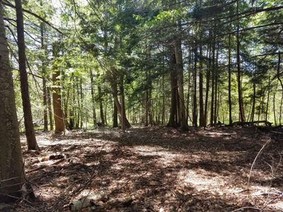 Portage Point Dr, Onekama, MI, 49675