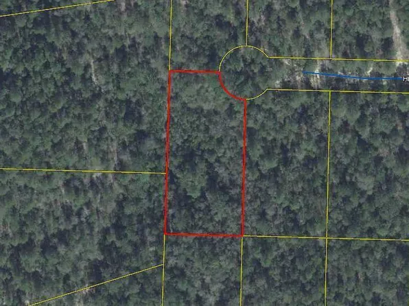 1 Henry Ln, Defuniak Springs, FL 32433