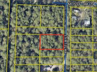 Patela St, Freeport, FL 32439