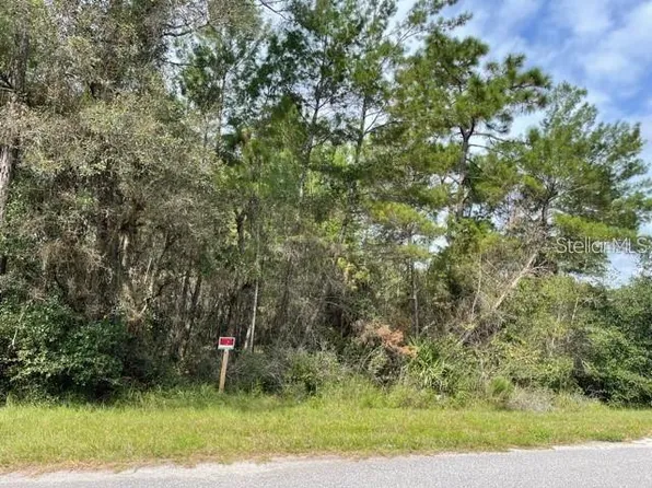 LOT 16 Chinaberry St Lot 16, Eustis, FL 32736
