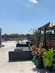 Rented by City Vista Inc