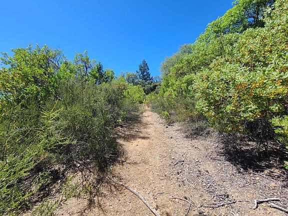 5th image of 0 0 Pigeon Ridge Road