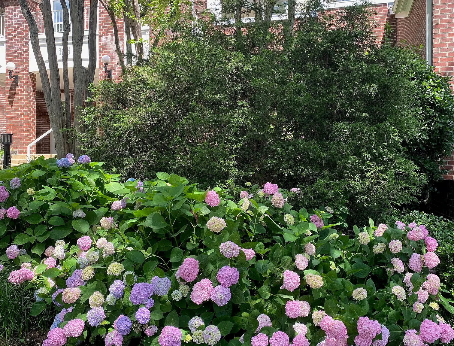 1641 International Drive — Photo 4