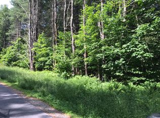 55 Grange Rd, Greenfield Center, NY 12833