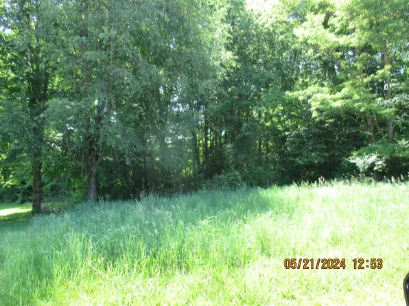 6135 Sweet Clover Hills Dr, Jonesville, MI 49250
