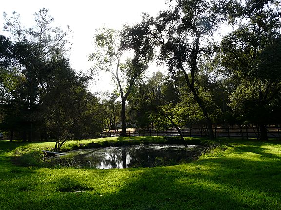 Pond View S/W (Oct 2020)