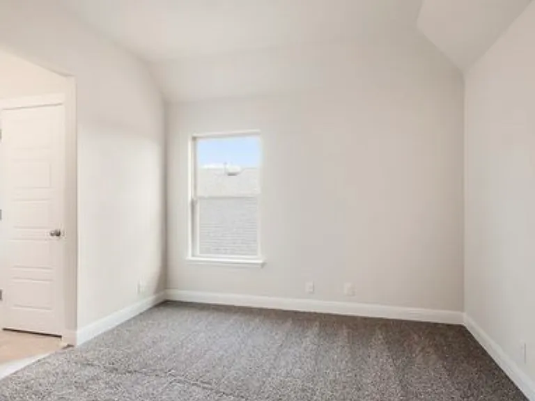 8232 Scarlet Gaura — Photo 4