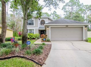 10436 Springrose Dr, Tampa, FL 33626