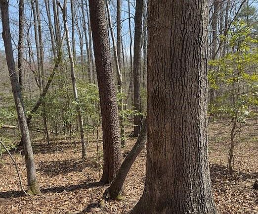 4th image of 0 Seven Island Rd Tract 4
