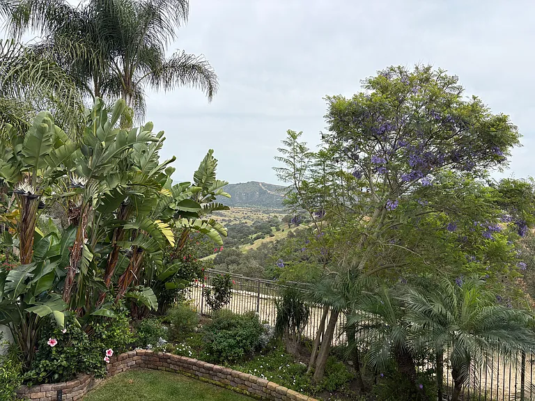 459 Camino Flora Vis — Photo 16