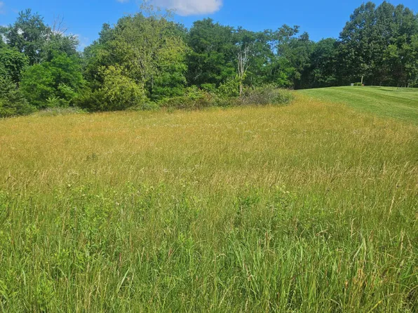 0 Pear Blossom Ln, Natural Bridge, VA 24578