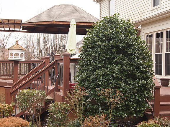 outdoor privacy all around