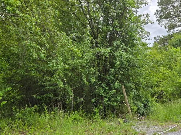 0 County Rd Unit 101, Riceville, TN 37370