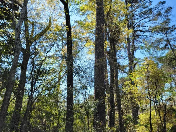 980 Sams Point Rd, Beaufort, SC 29907