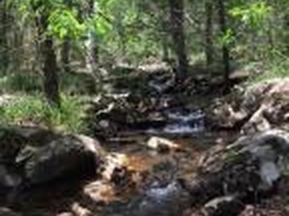 (undisclosed Address), Delaware, AR 72835