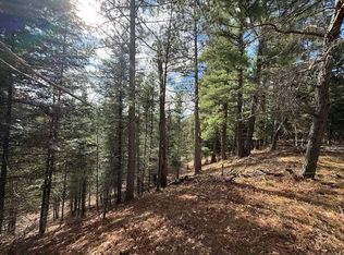 1 Sawmill Trl, Grayling, MI 49738