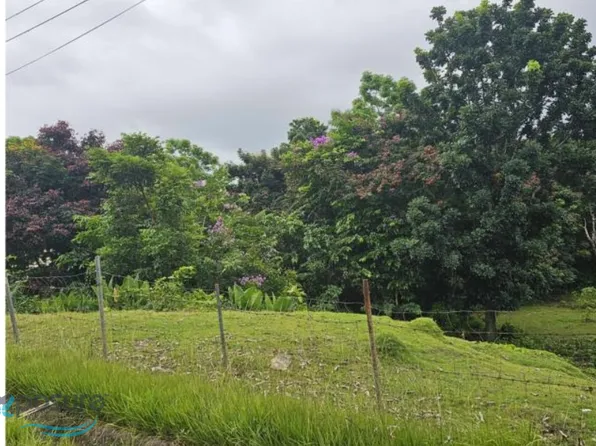 2 601.98 Solar Miradero Hls, Mayaguez, PR 00680