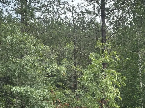 Near Cth Y S Rns Lot 6, Tomahawk, WI 54487