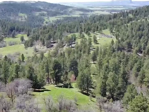 Tbd Lytle Creek Rd, Devils Tower, WY 82714