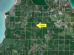 0 Coles Rd, Beaver Island, MI 49782