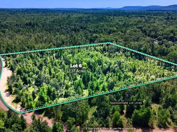 V/l Down To Earth Way Parcel 6, Prescott, MI 48756