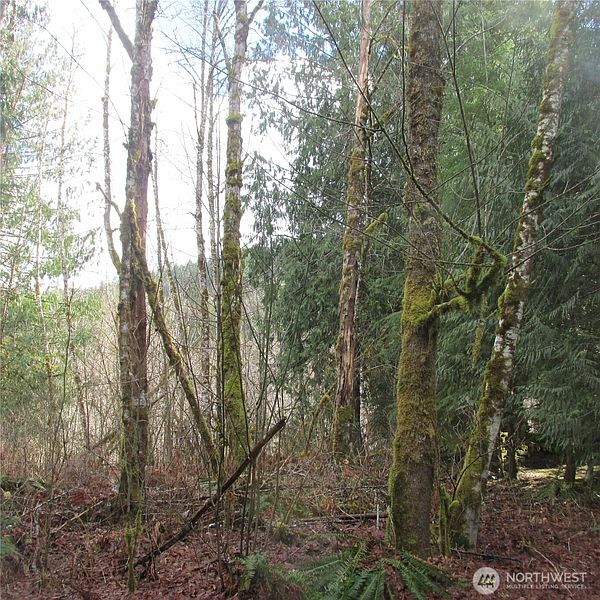 4th image of 10337 Glacier Rim Drive