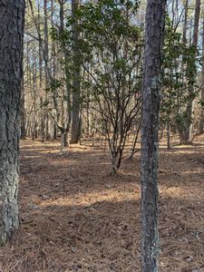0 Airport Rd, Copperhill, TN, 37317