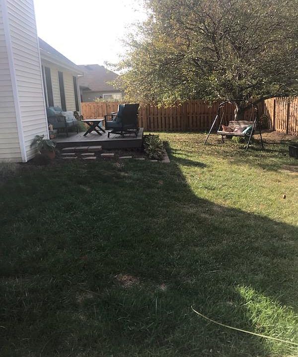 Backyard with mature tree