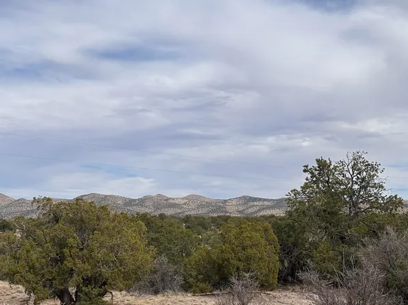 LOT 150 Pinon Trl, Magdalena, NM 87825