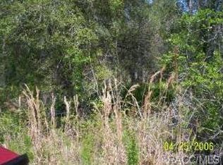 2927 N Oakland Ter, Crystal River, FL 34428