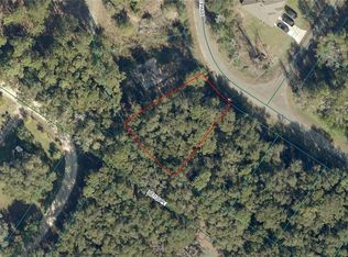 9042-1617 Nineteen Baycourt Pass, Ocklawaha, FL 32179