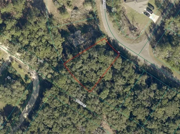 9042-1617 Nineteen Baycourt Pass, Ocklawaha, FL 32179