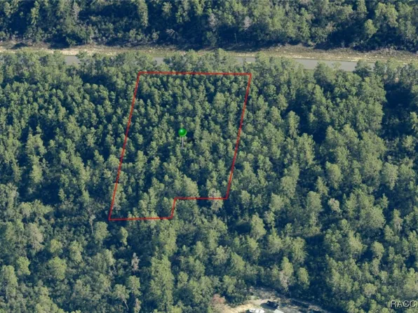 4502 W Abeline Dr, Citrus Springs, FL 34433