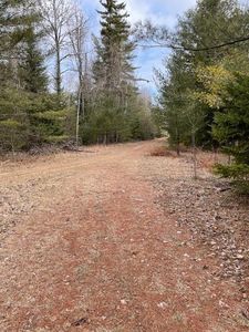 PARCEL Abby Ln #B, Ossineke, MI, 49766
