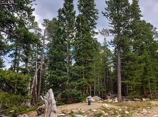 188 Gold Trail Cutoff, Fairplay, CO 80440