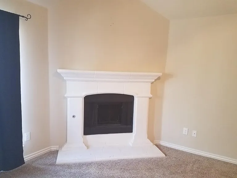 Gas Wood Burning Fireplace